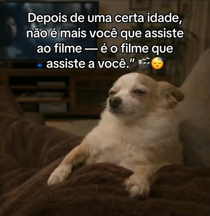 GIF enviado por Brenda🌻