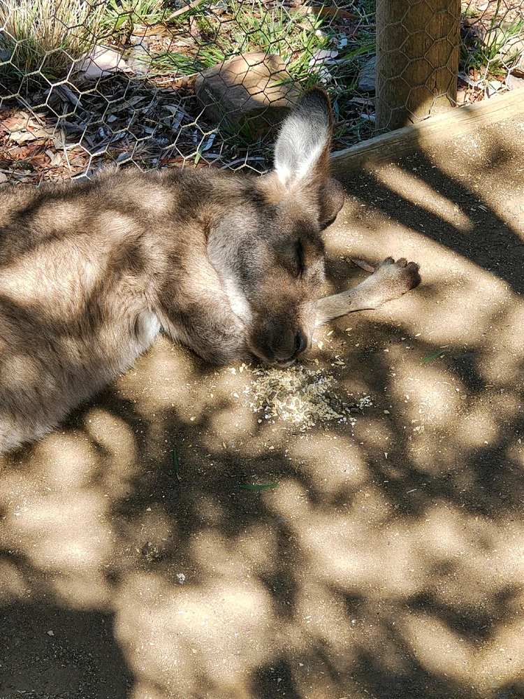 GIF uploaded by Antony