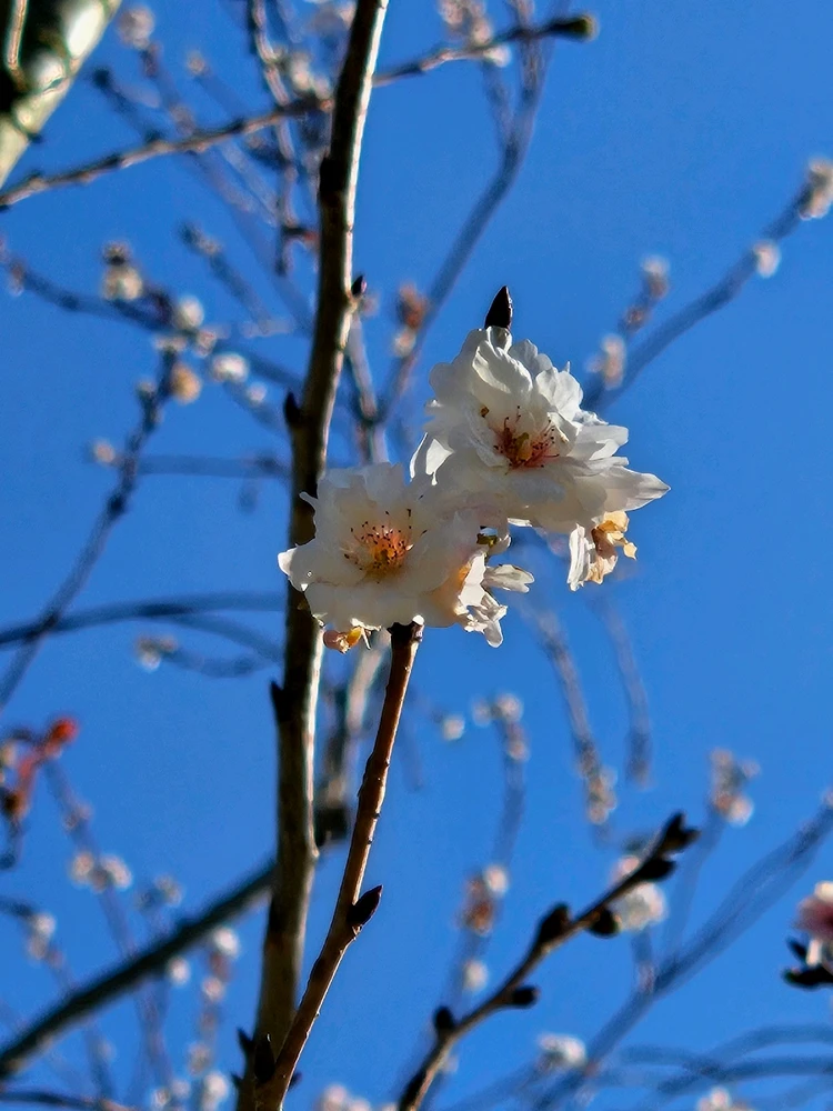 GIF uploaded by Jonny