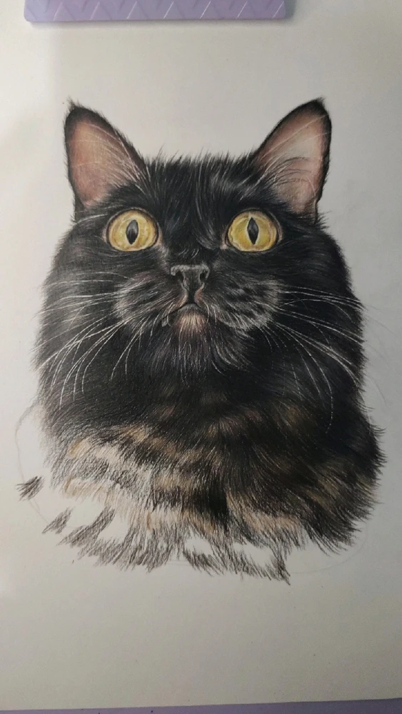 GIF enviado por Talita