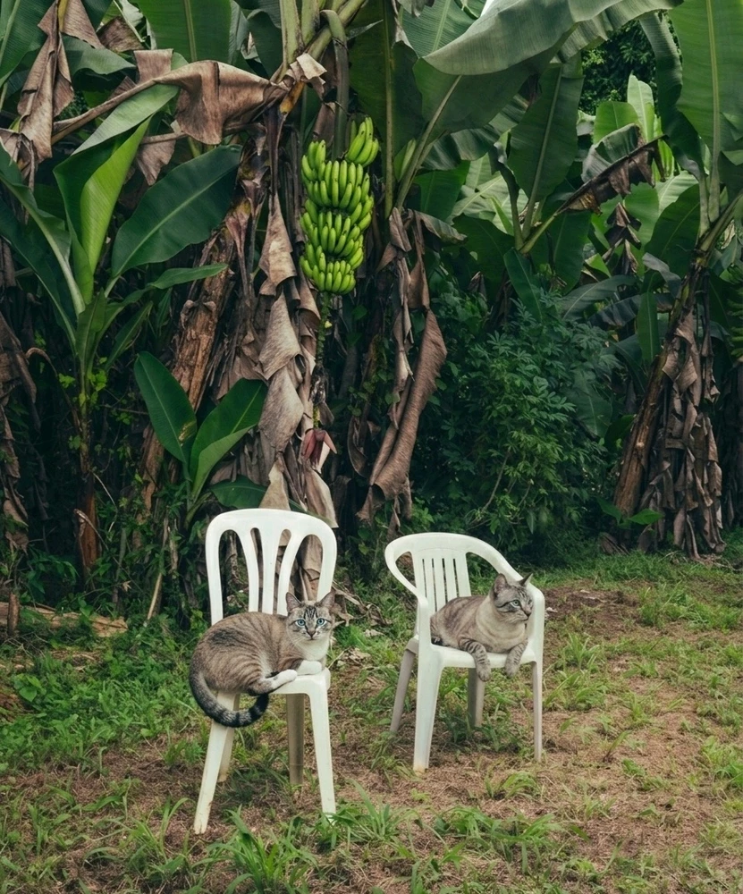 GIF enviado por Venus