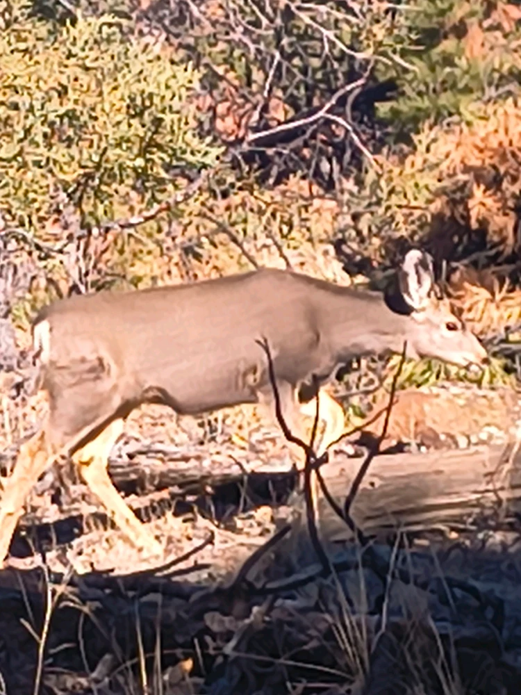 GIF uploaded by Brandon