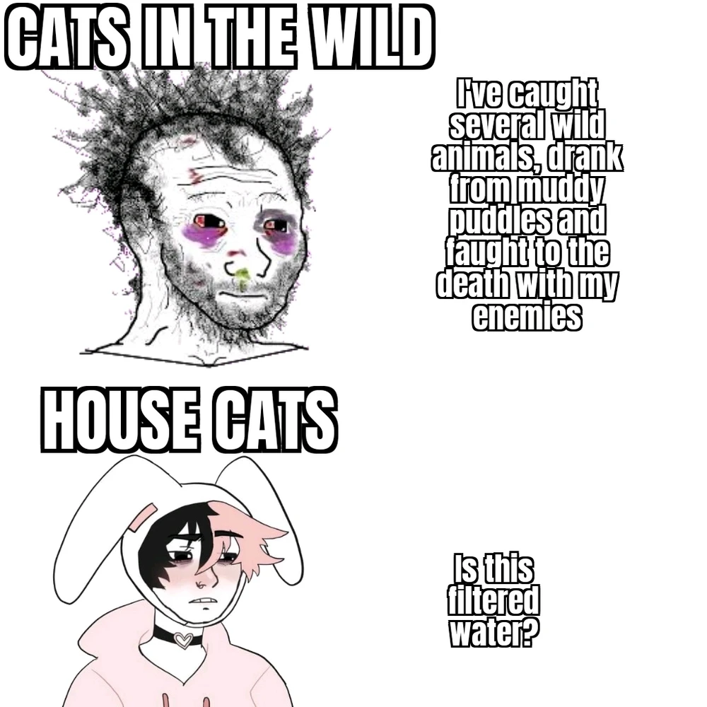 GIF uploaded by Ŕąfet