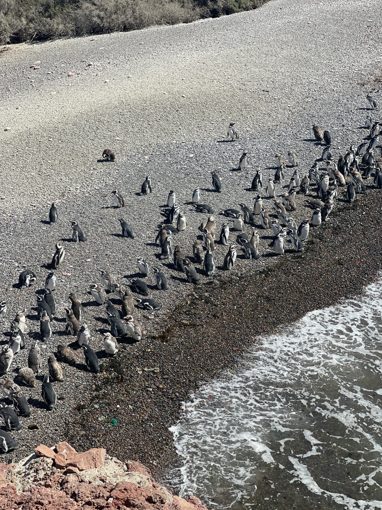 Image uploaded by Camila