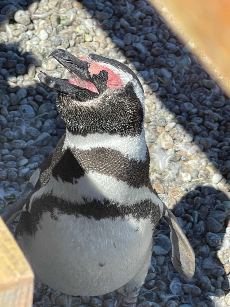 Image uploaded by Camila