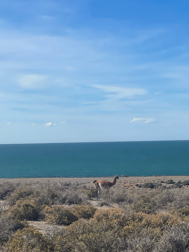 Image uploaded by Camila