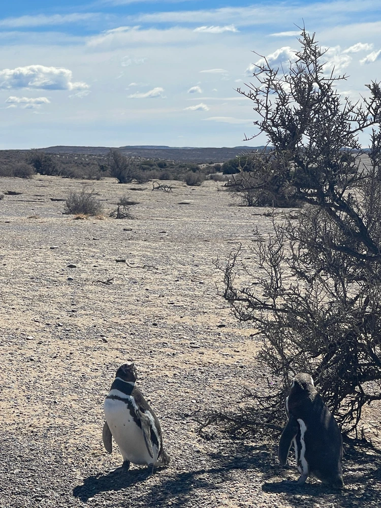 Image uploaded by Camila