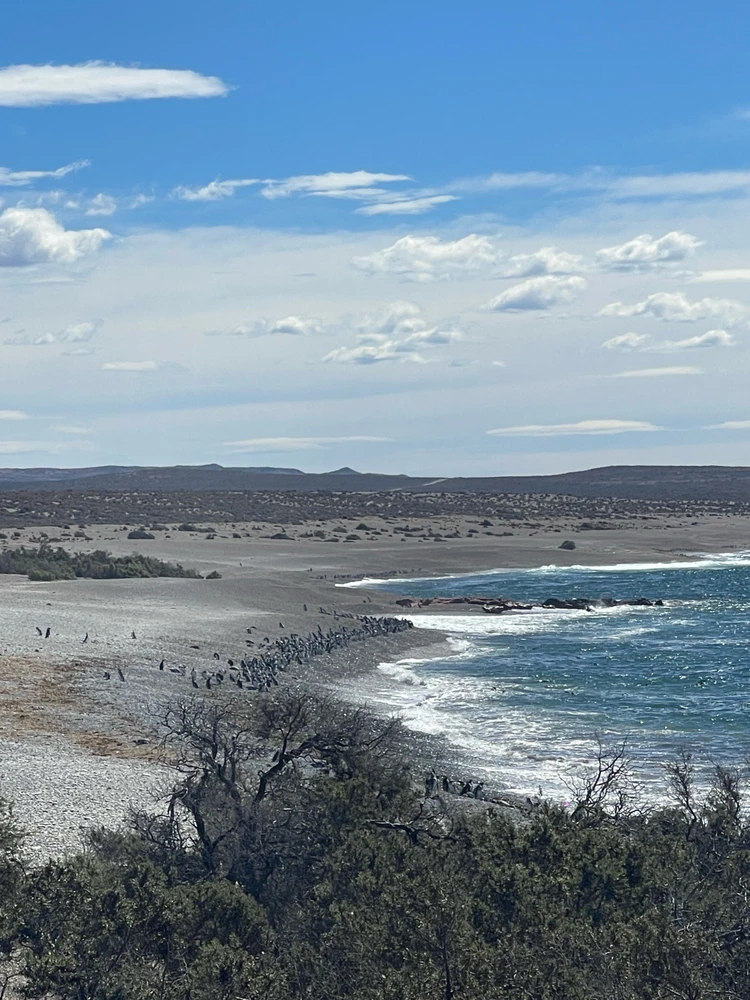 Image uploaded by Camila