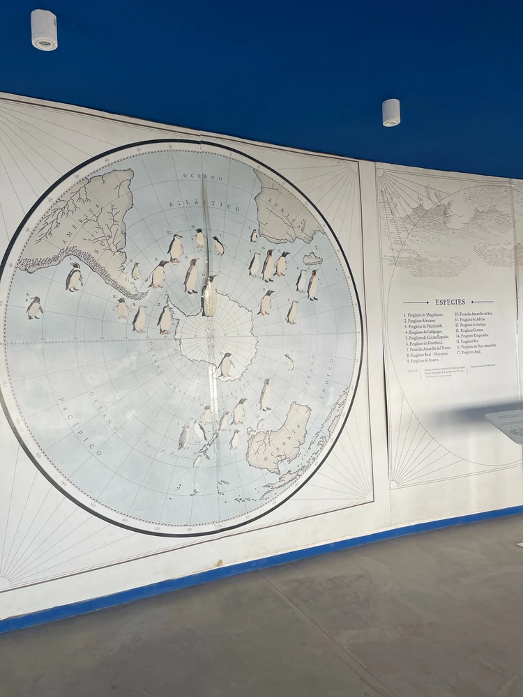 Image uploaded by Camila