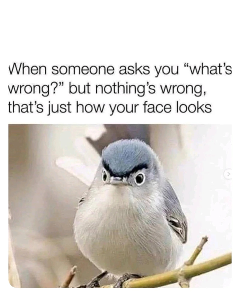 GIF uploaded by Sean