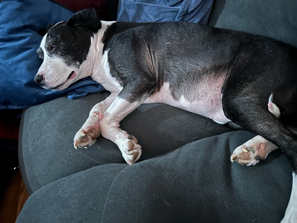 Image uploaded by David