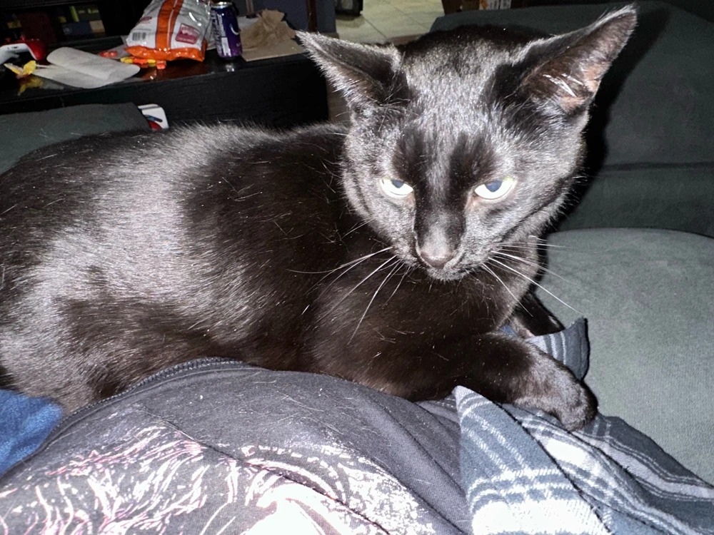 Image uploaded by David