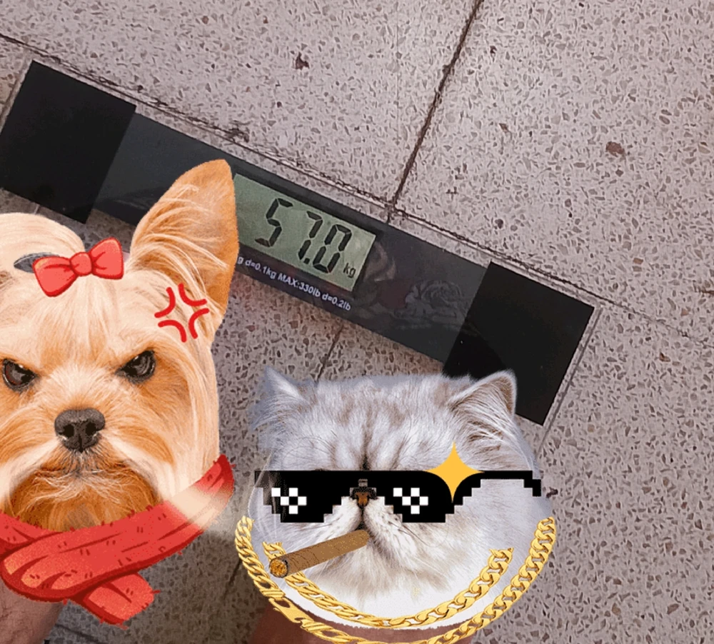 GIF subido por Jaguar