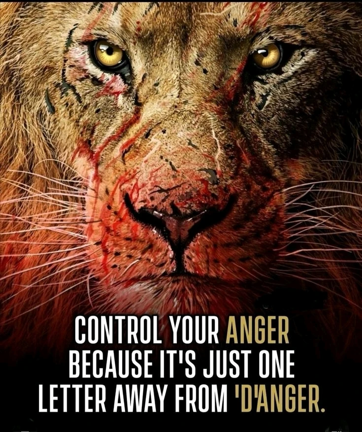 GIF uploaded by Ve E Ra