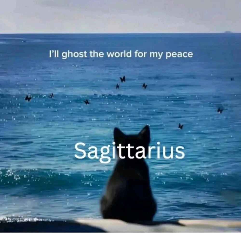 GIF uploaded by Geovannie Andrés