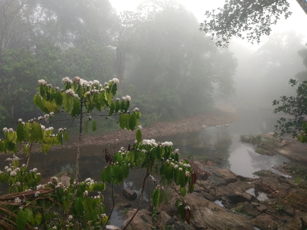 GIF uploaded by Vishnu