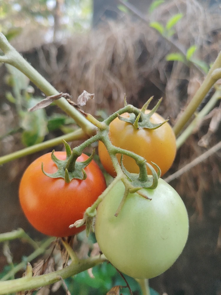 GIF uploaded by sebastian