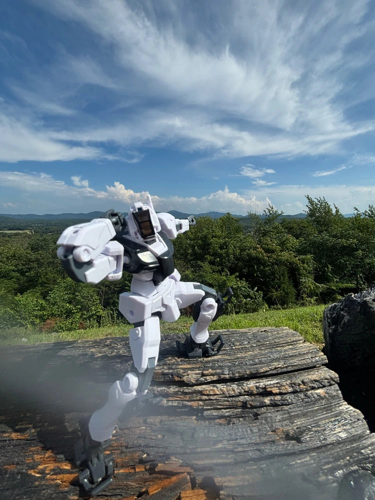 Image uploaded by Tyler