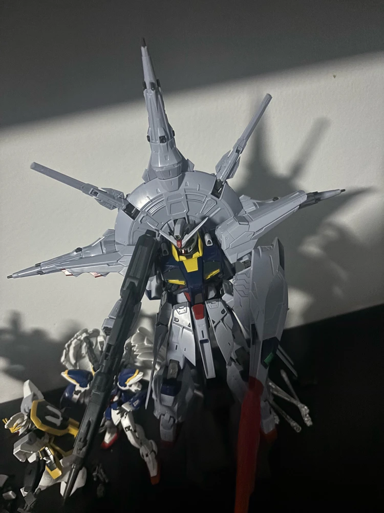 Image uploaded by Tyler