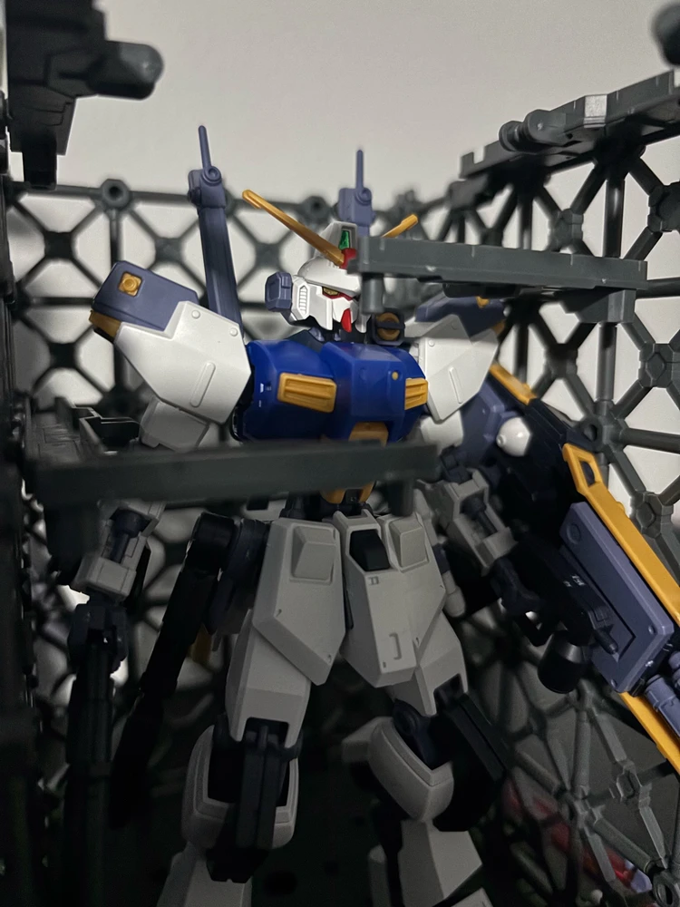 Image uploaded by Tyler