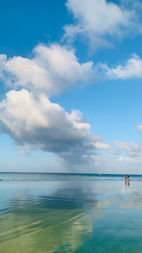 GIF uploaded by Shen