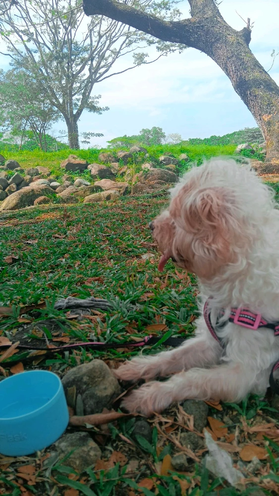 Image uploaded by Ellie