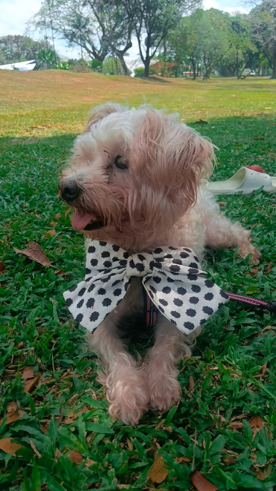 Image uploaded by Ellie