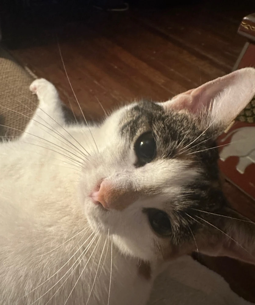 GIF uploaded by Christian