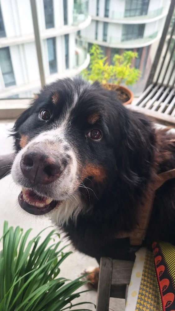 GIF uploaded by Eliot