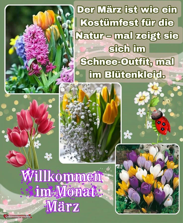 Bild hochgeladen von Jasmin