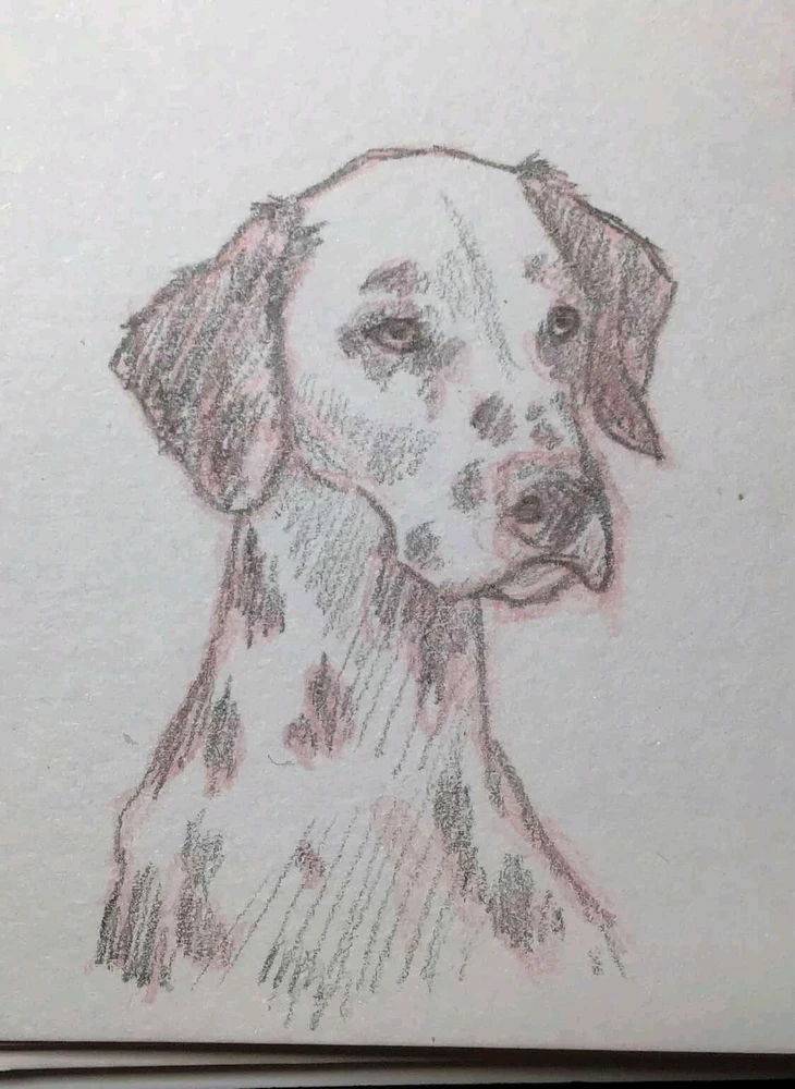 GIF uploaded by jaime