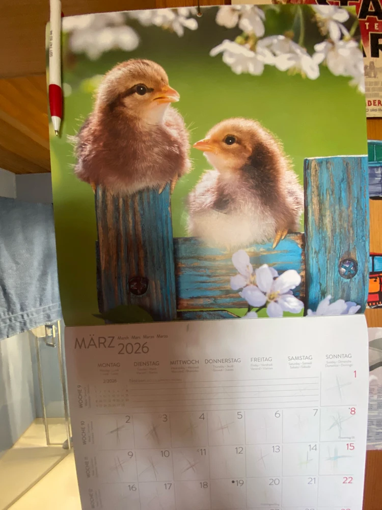 GIF hochgeladen von Fabian oder auch Fäbu