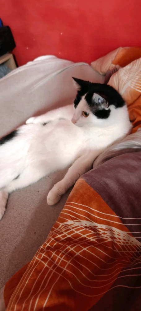 GIF dodany przez Grzesiek