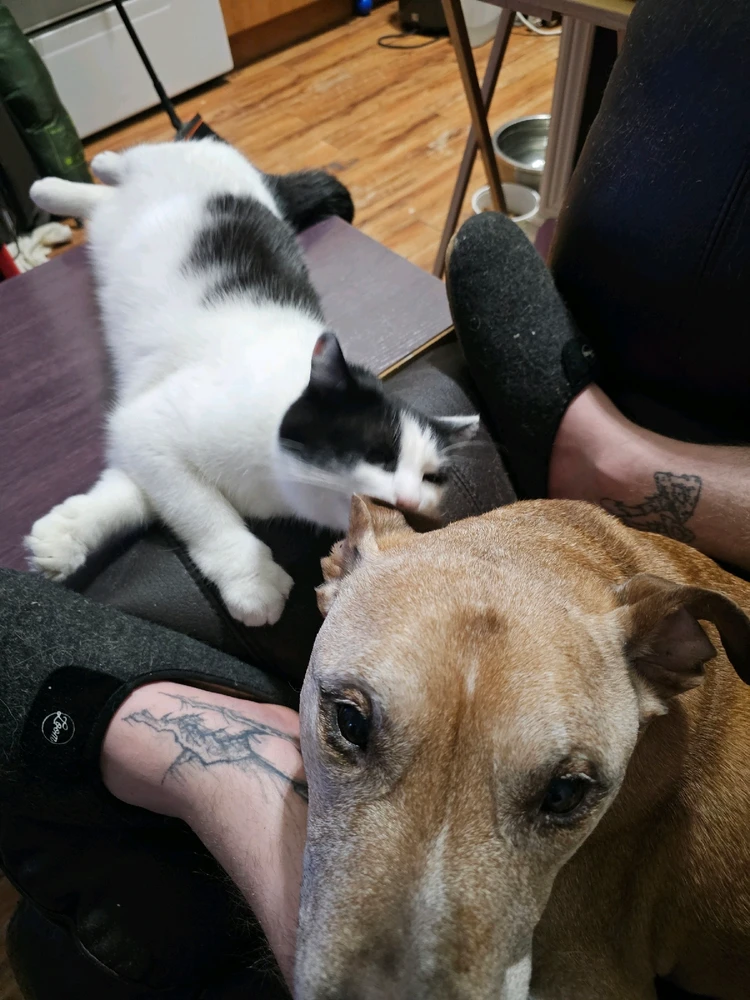 GIF uploaded by MissHollow