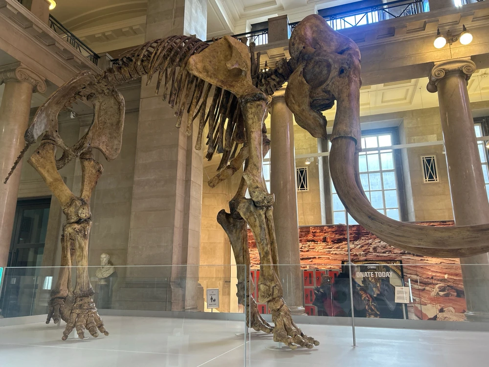 Image uploaded by Rio