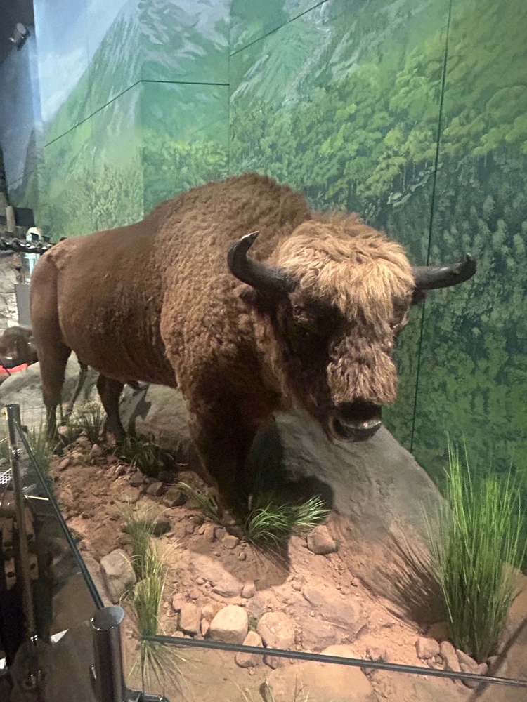 Image uploaded by Rio