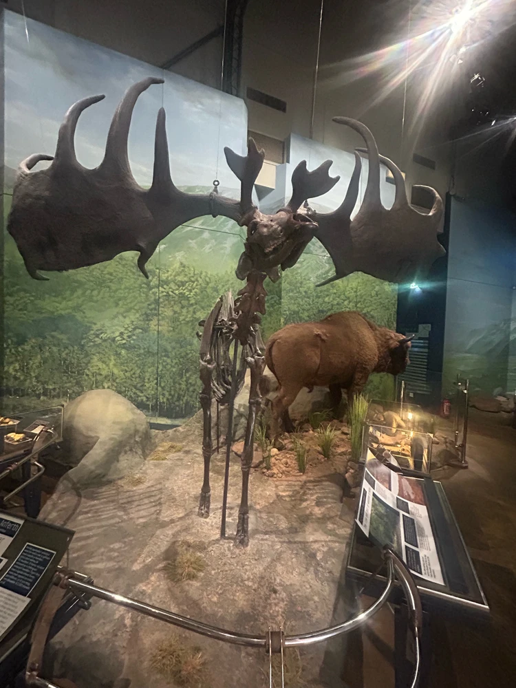 Image uploaded by Rio