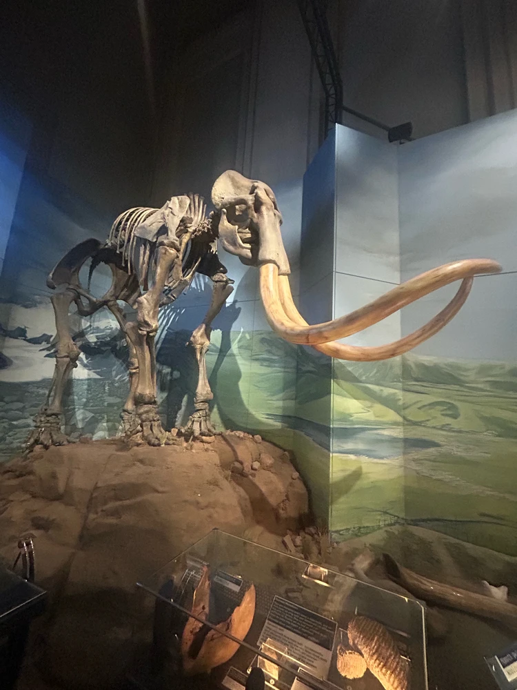 Image uploaded by Rio