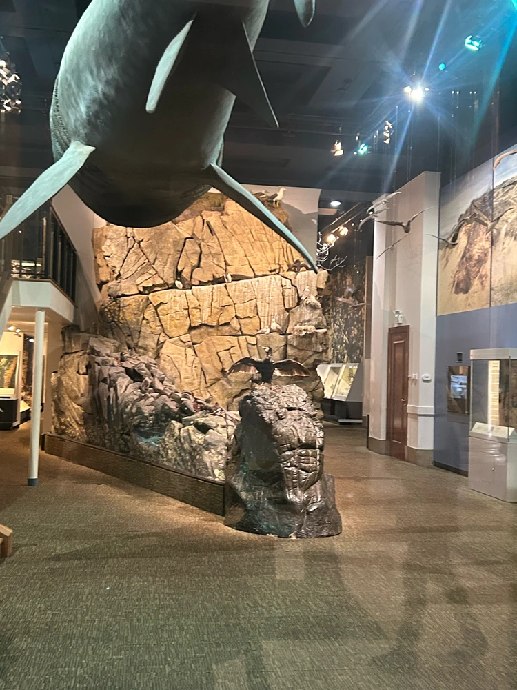 Image uploaded by Rio