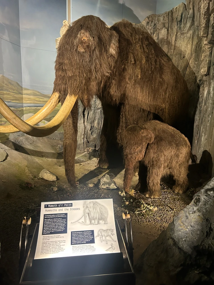 Image uploaded by Rio