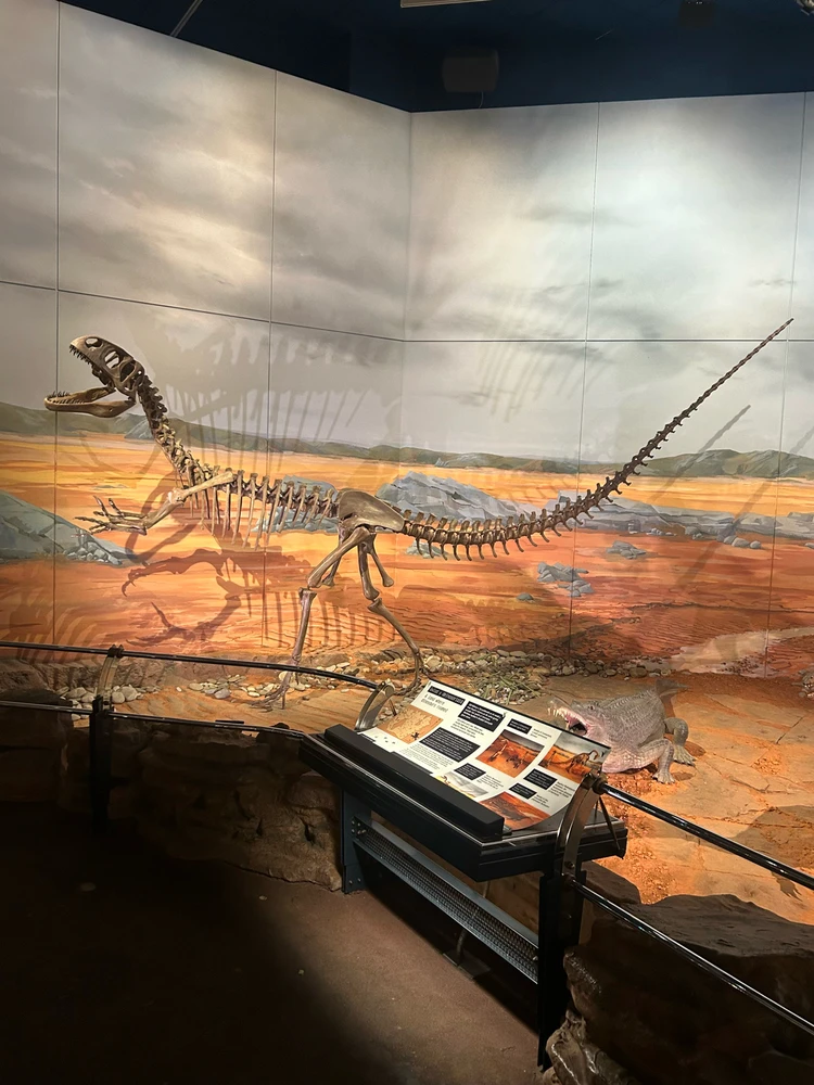 Image uploaded by Rio