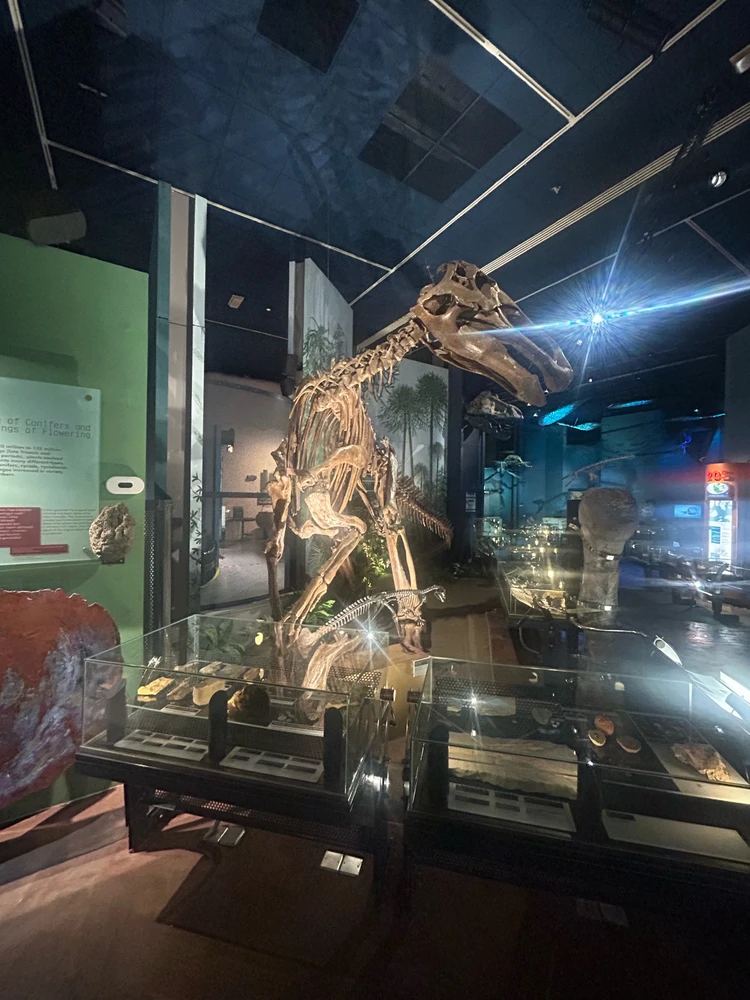 Image uploaded by Rio