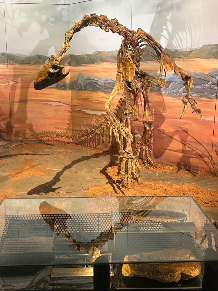 Image uploaded by Rio