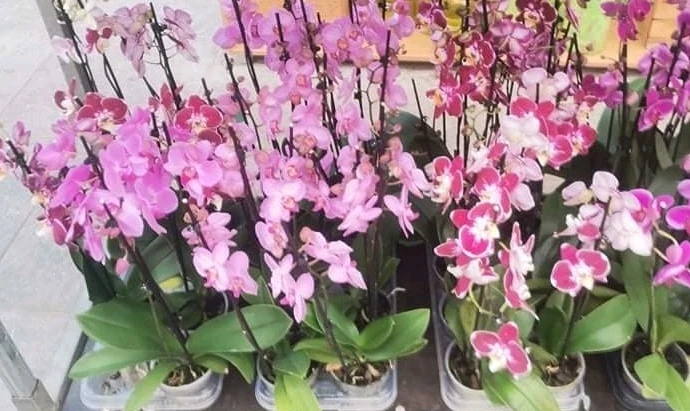 Sliko je naložil Katja