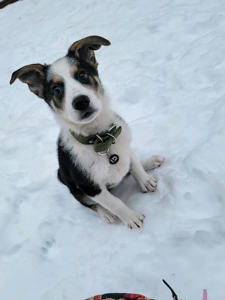 GIF uploaded by seraph