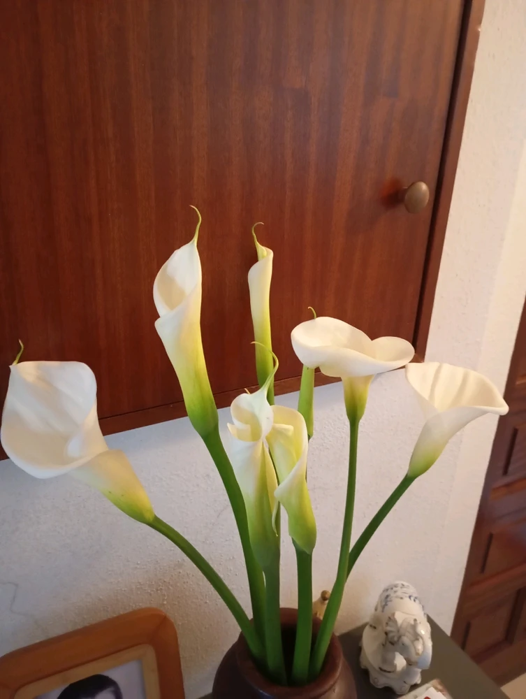 GIF uploaded by Alexandre