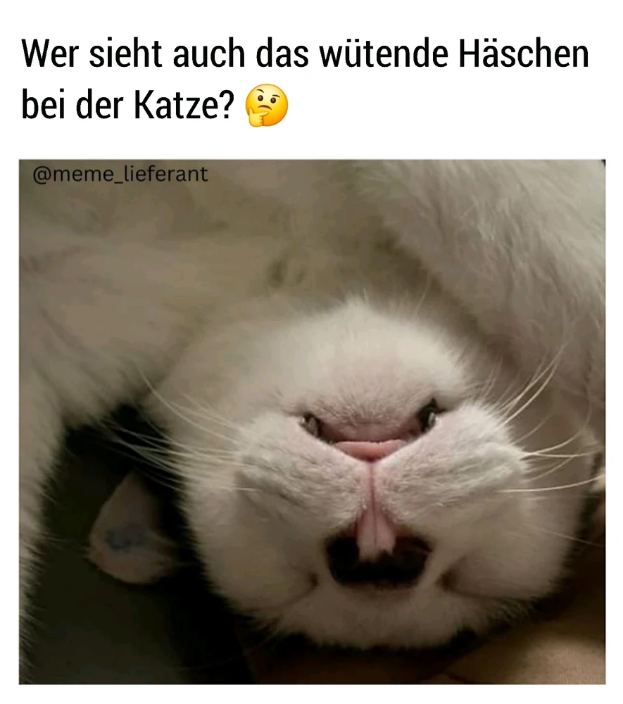 GIF hochgeladen von Jessïca