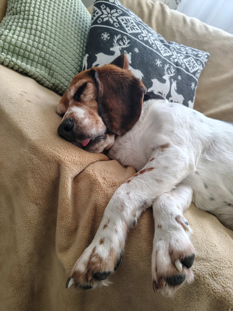 GIF uploaded by Sebastian