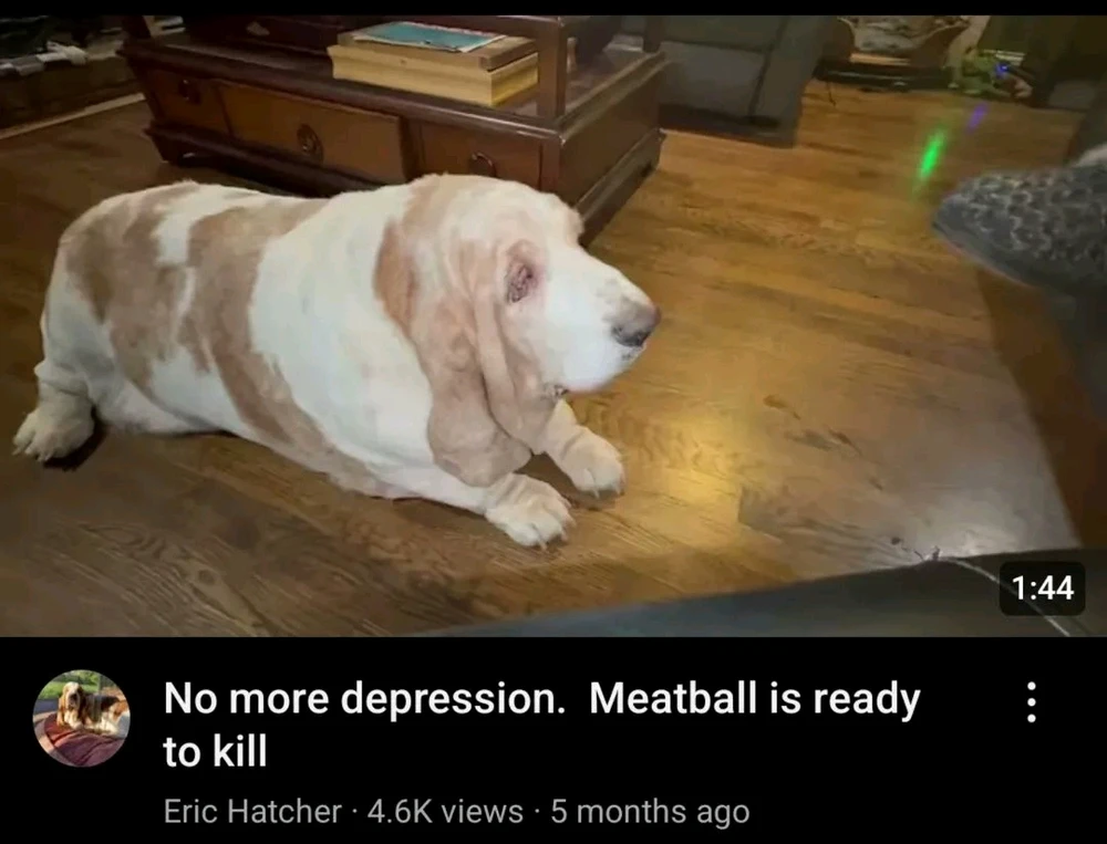 GIF uploaded by Tyler