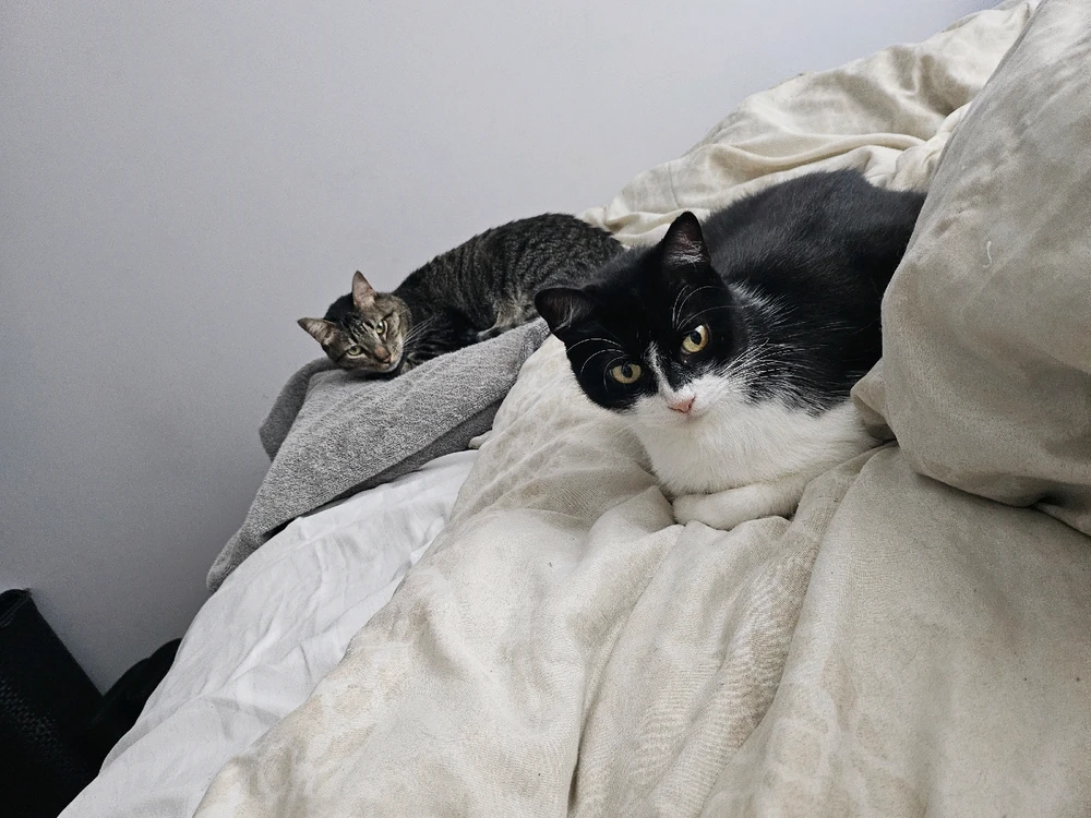 GIF enviado por Laura